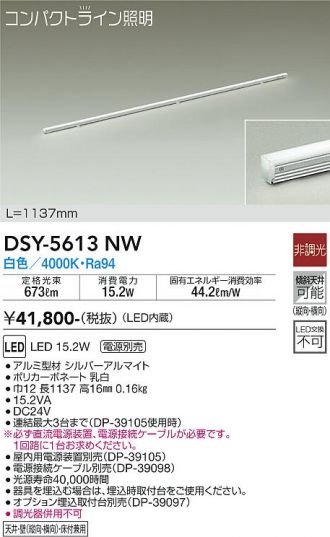 DSY-5613NW