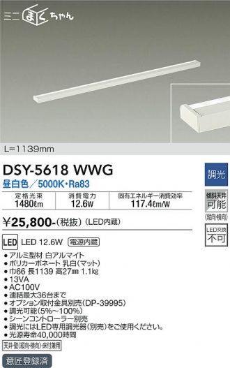 DSY-5618WWG