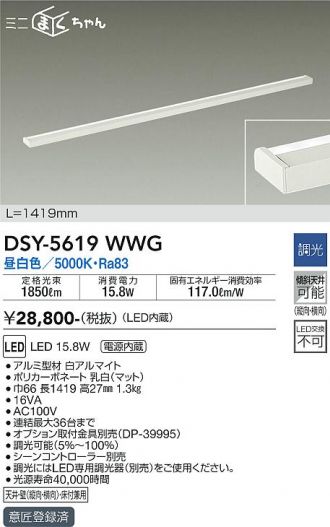 DSY-5619WWG