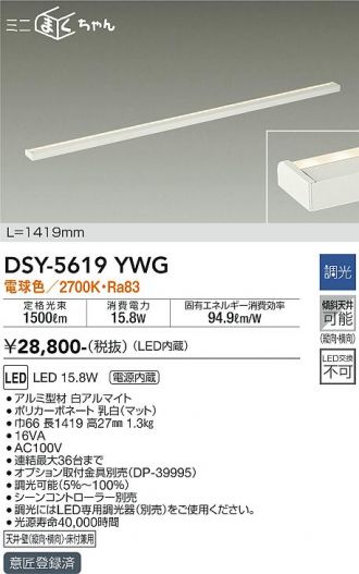 DSY-5619YWG