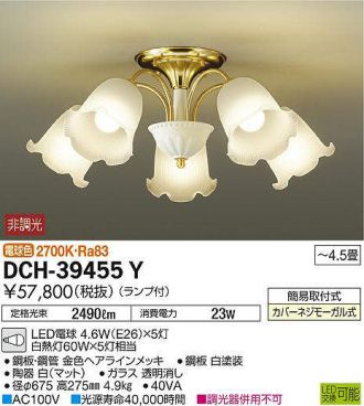 DCH-39455Y