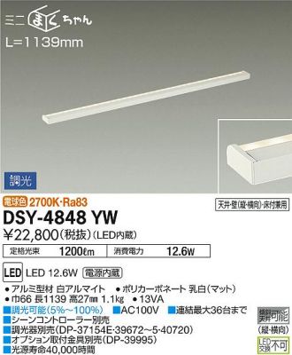 DSY-4848YW