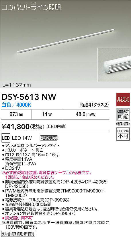 DSY-5613NW