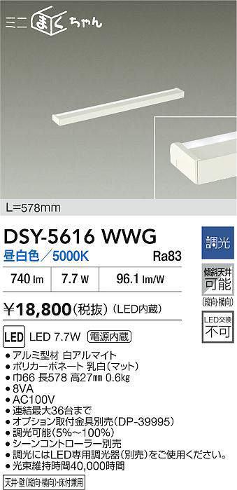 DSY-5616WWG