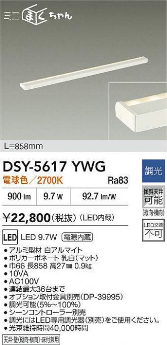 DSY-5617YWG