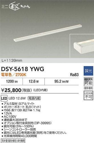DSY-5618YWG