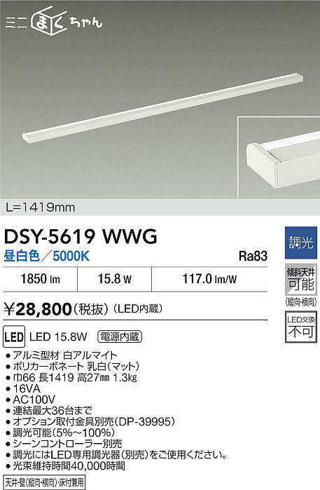 DSY-5619WWG
