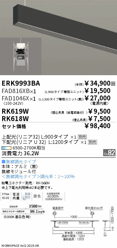 ERK9993BA...