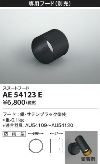 AE54123E