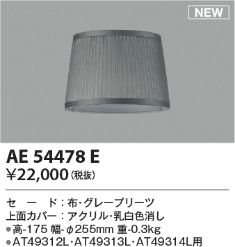 AE54478E