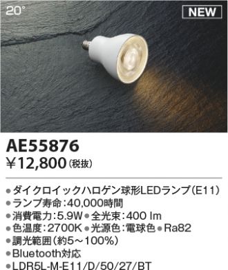 AE55876