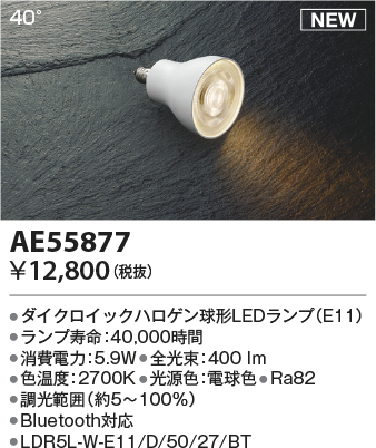 AE55877