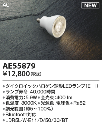 AE55879
