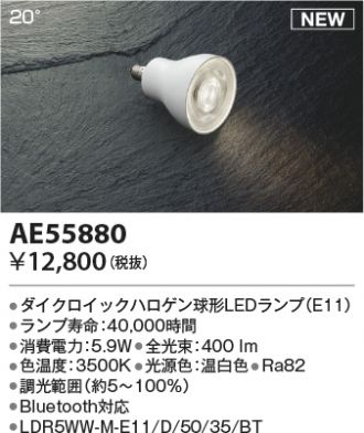 AE55880