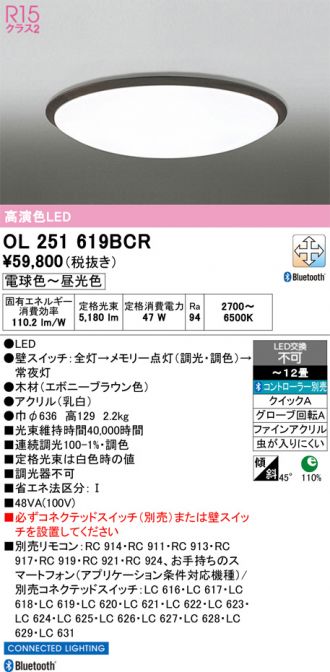 OL251619BCR