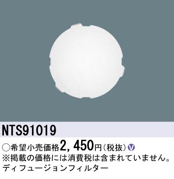 NTS91019