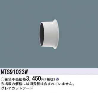 NTS91023W