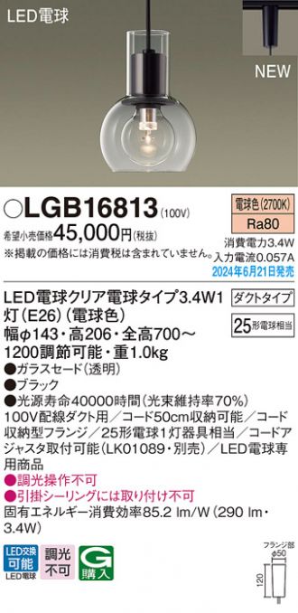 LGB16813