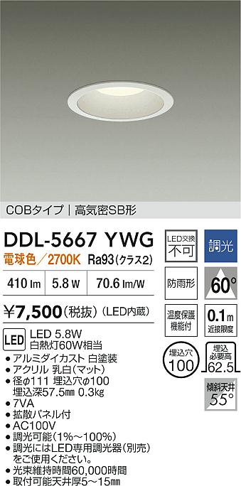 DDL-5667YWG