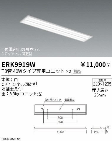 ERK9919W