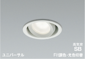 AD1270W99