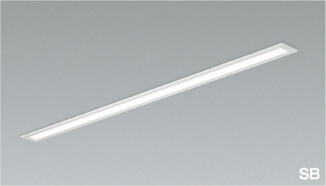 AD45409L