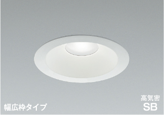 AD7204W50