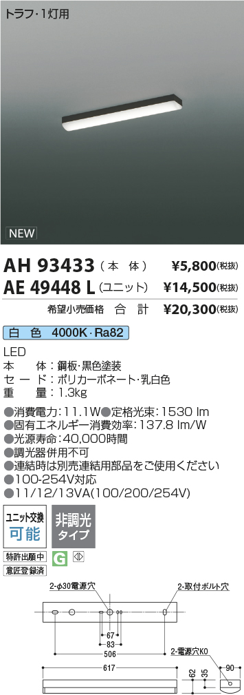 AE49448L