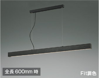 AP51110