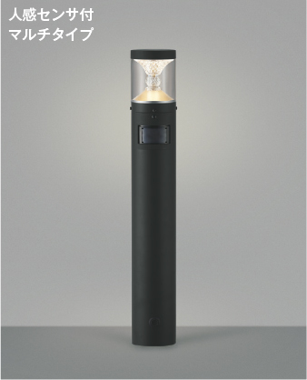AU45499L