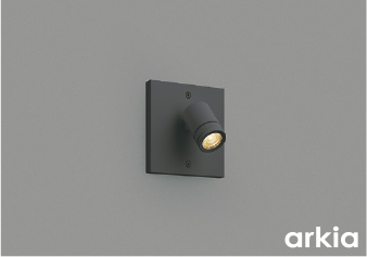 AU54563