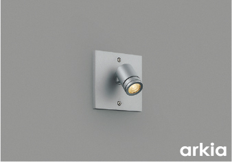 AU54564