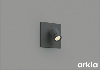 AU54566