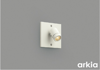 AU54571