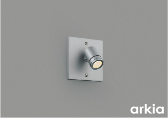 AU54573