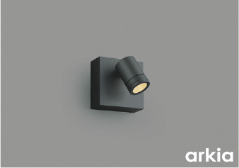 AU54580