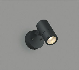 AU55955