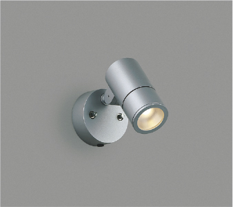 AU55956