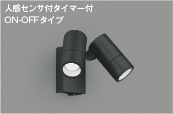 AU55971