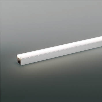 XL55406