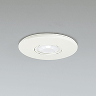 OA253217P1