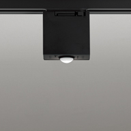 OA253531