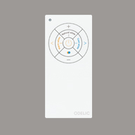 RC919