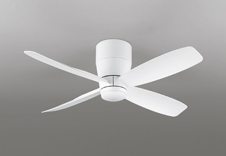 WF810P1