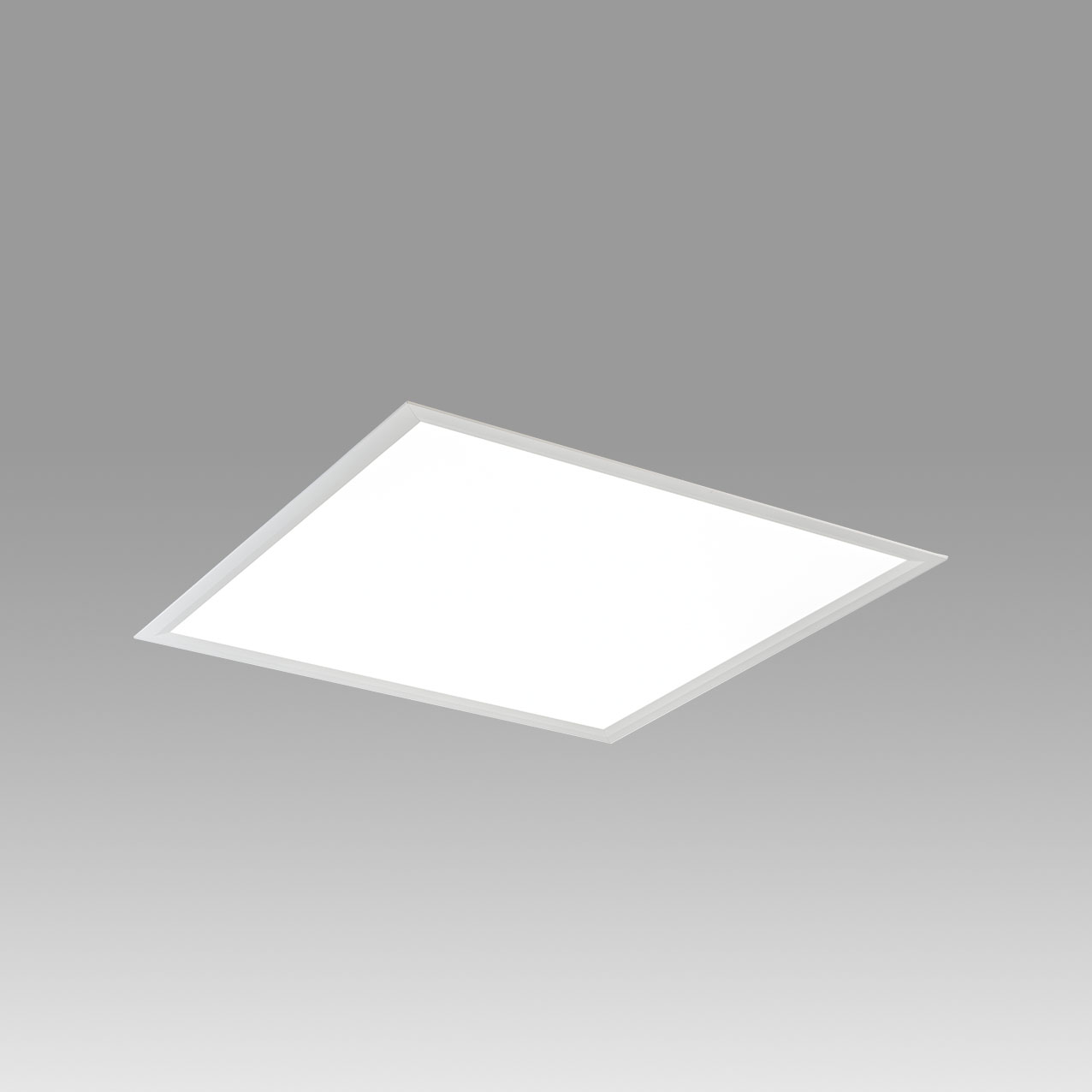 DD-3553-WW