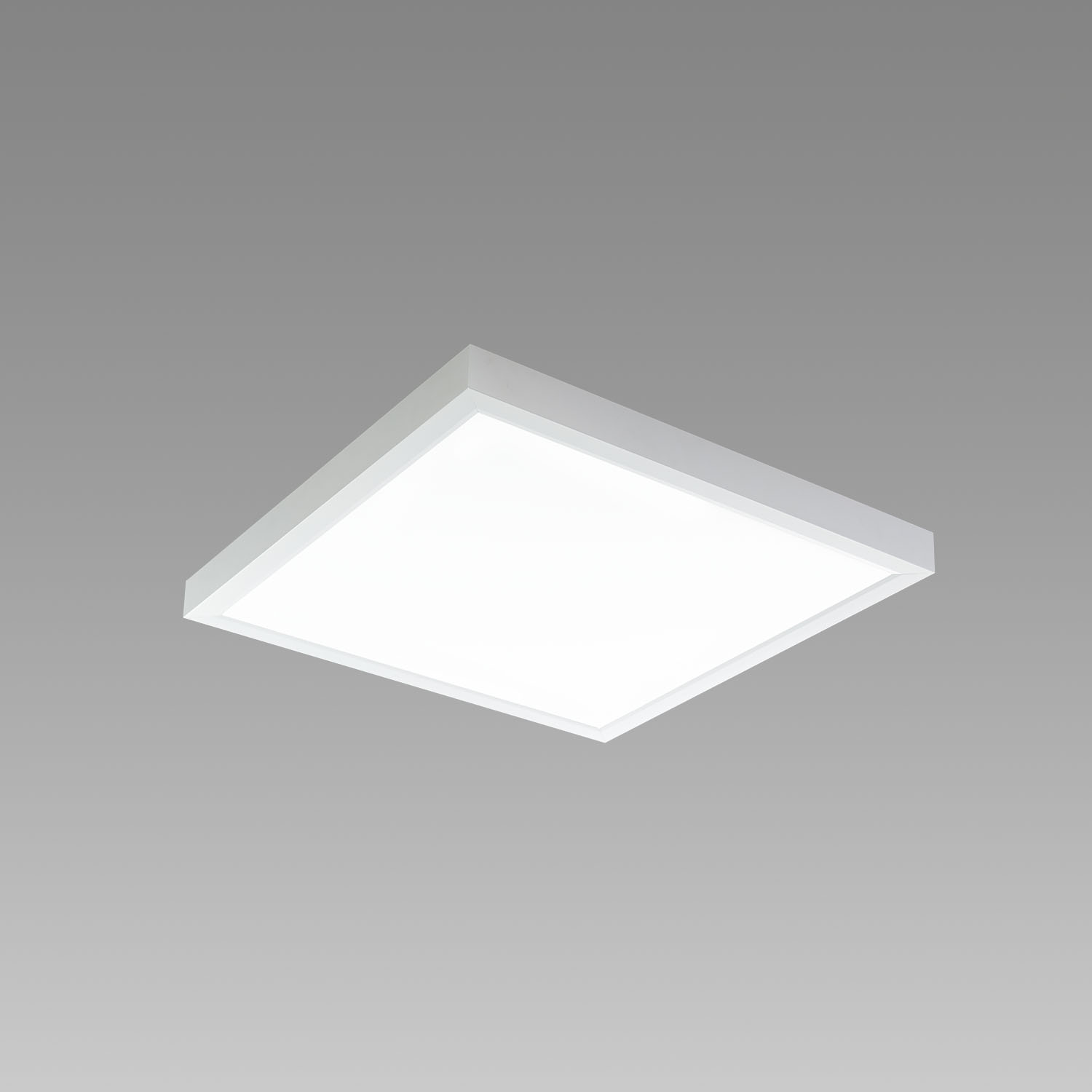 LD-5318-WW