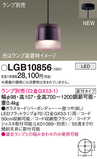 LGB10856