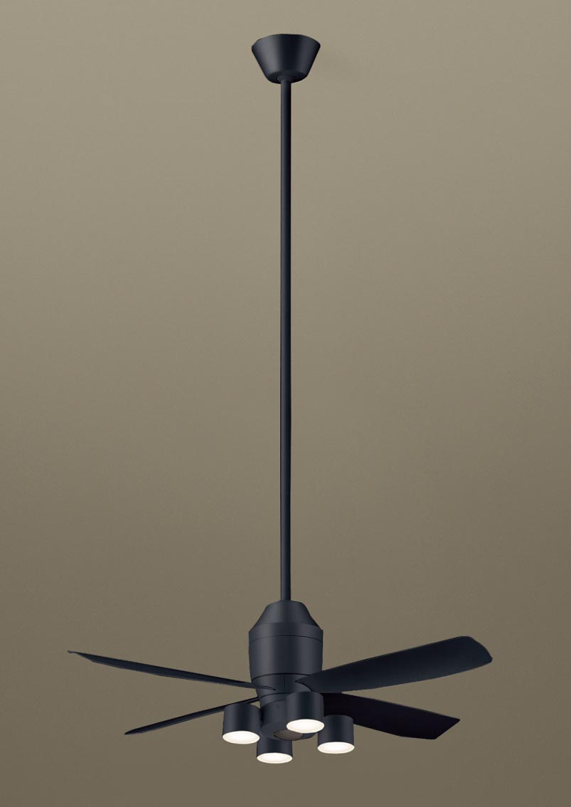 XS74529