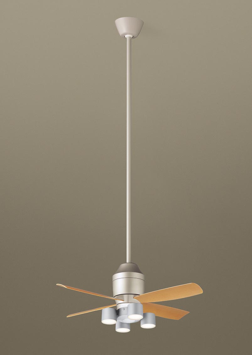 XS77528