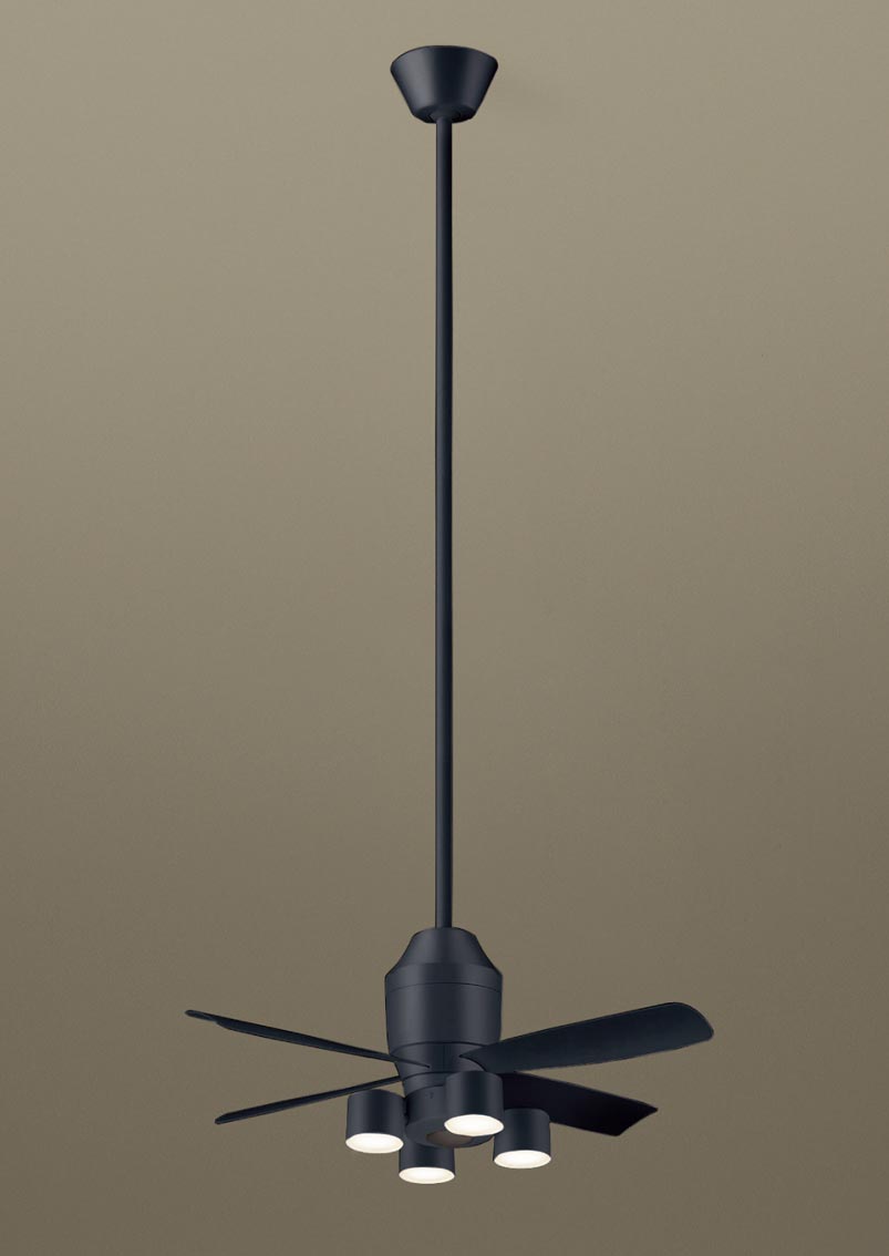 XS79529